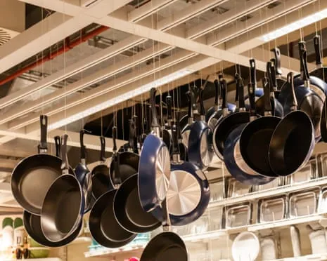 PTFE Nutrition, Garlic Milk and Zebra Cows Excel at 2025 Ig Nobel Awards