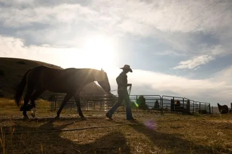 Meet the US Women Ranchers Transforming Contemporary Ranch Life