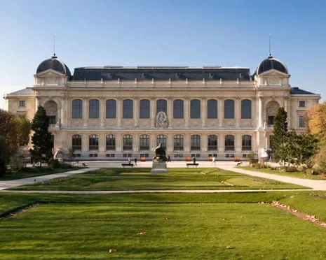 Invaluable Gold Samples Taken in Daring Robbery at French National Museum